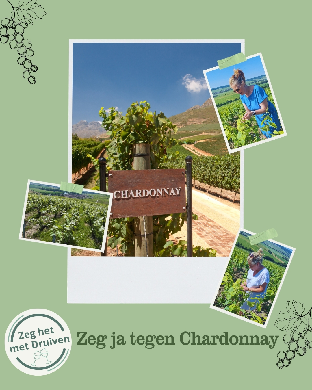 Zeg ja tegen Chardonnay