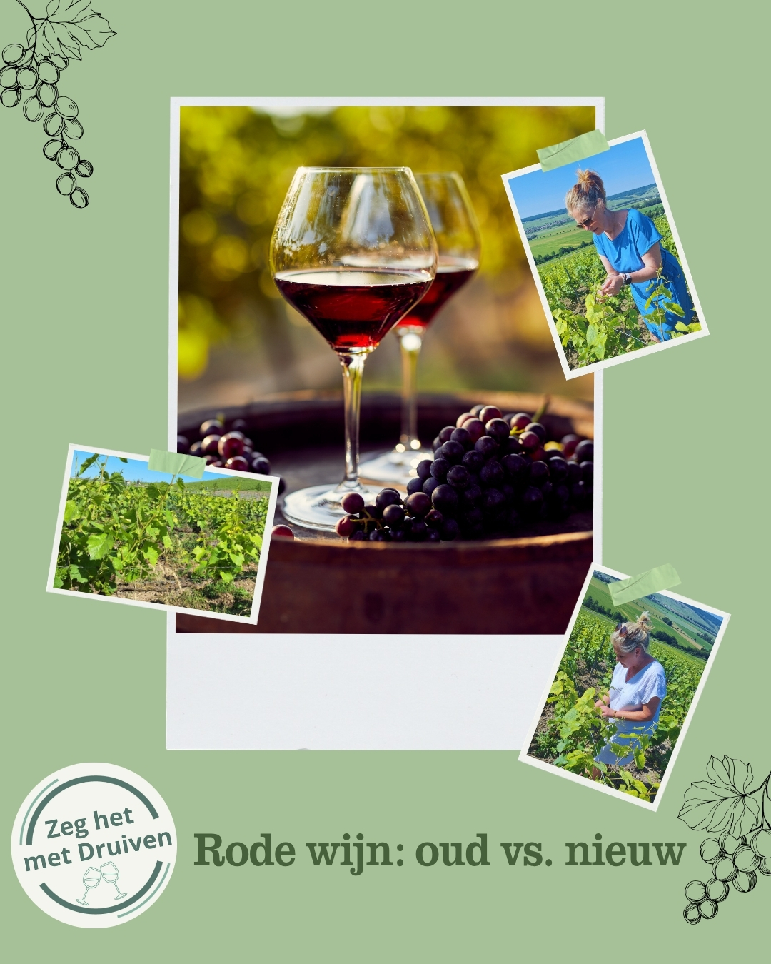 Rode wijn: oude versus nieuwe wereld
